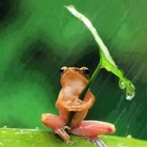 Meet your Posher, Debby